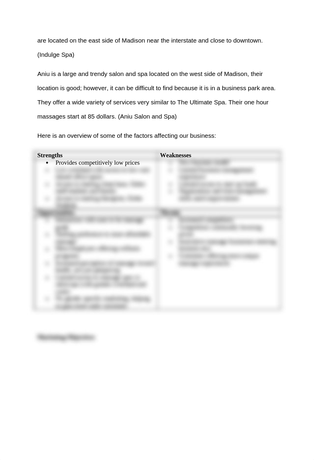 Marketing Plan_drd2divm5av_page4