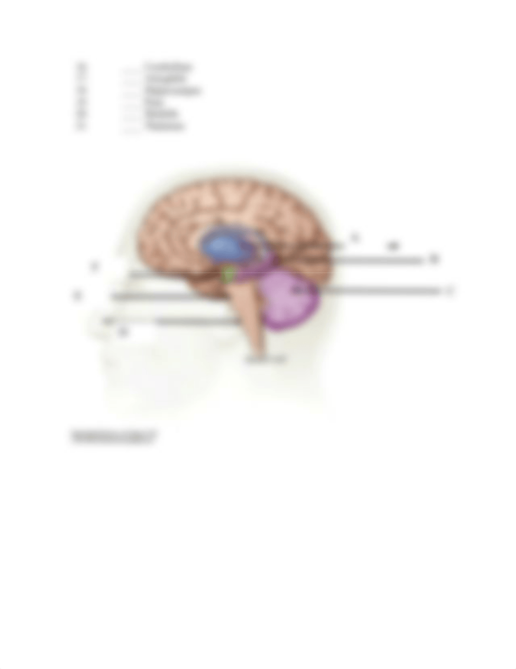 ass2brain_drd4m7czyds_page4