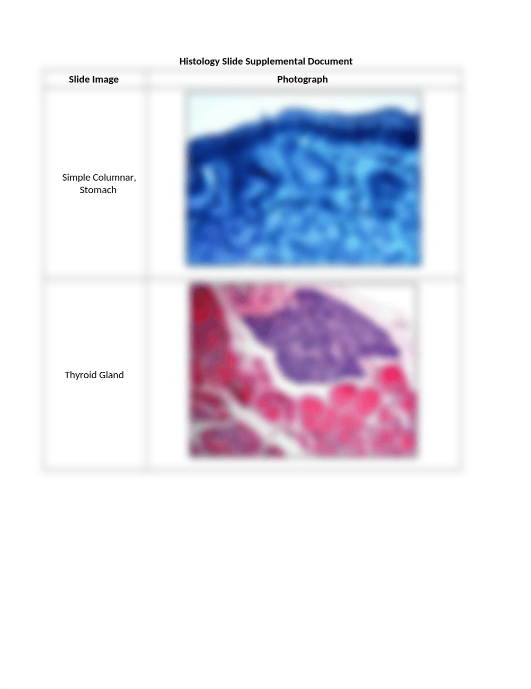 Histology_Slide_Supplemental_Document_drd642499v7_page1