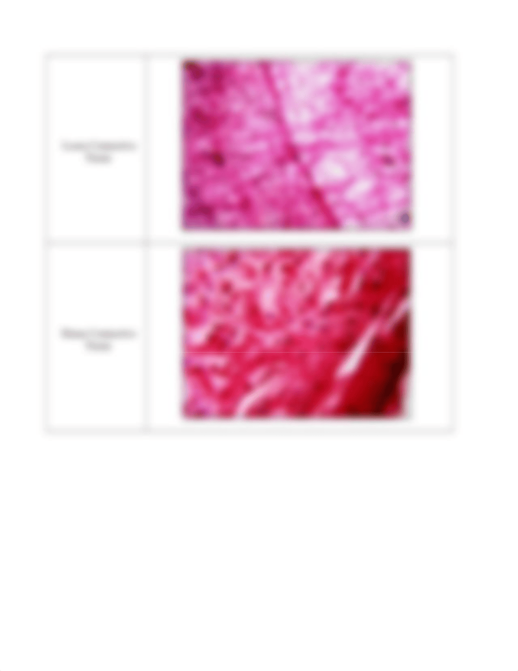 Histology_Slide_Supplemental_Document_drd642499v7_page4