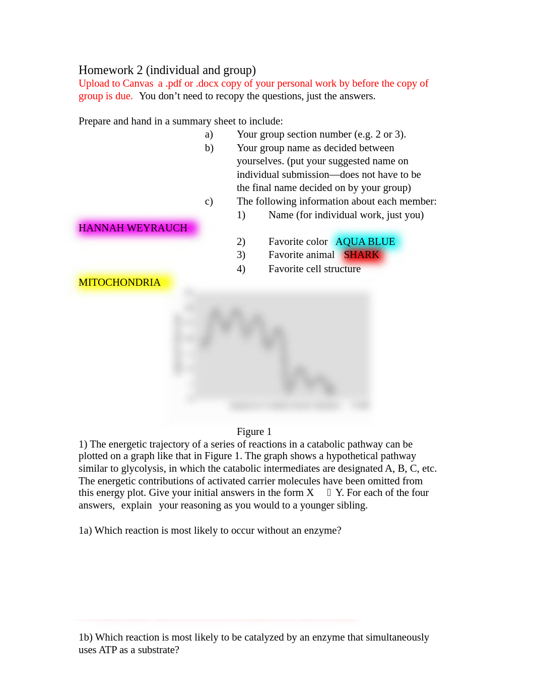 Homework 2 Group.docx_drd7sxn0ki1_page1