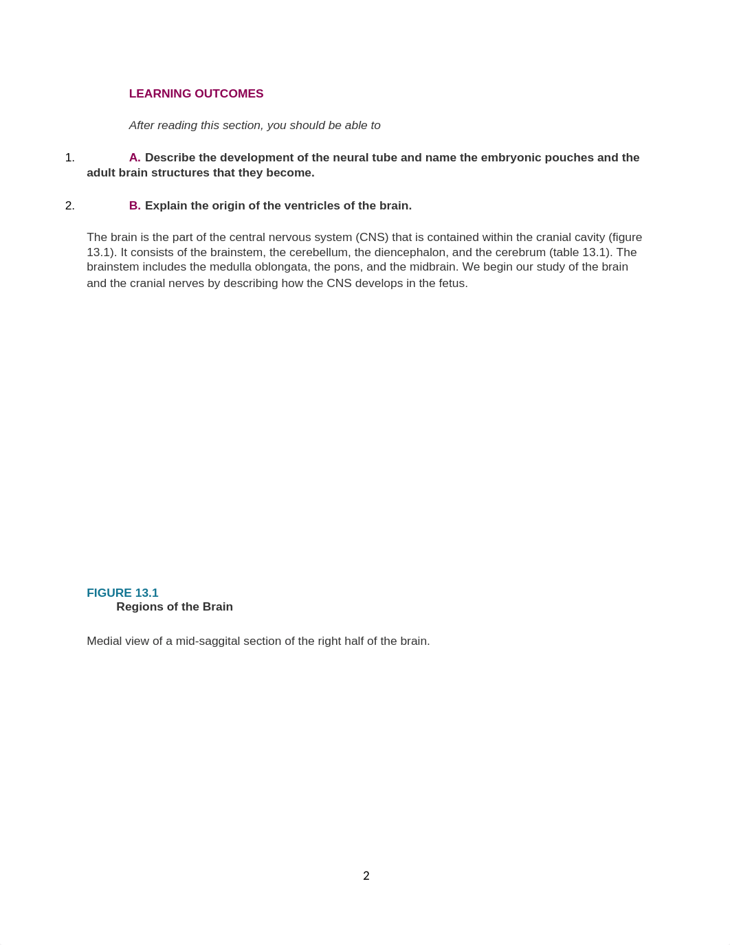 Chapter 13 - Brain and Cranial Nerves.docx_drdfrfjanfs_page2