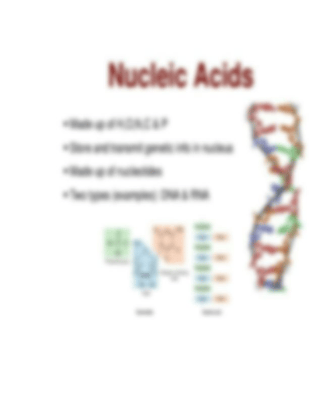 Sources of Nucleic Acids_drdqdm73ulh_page2