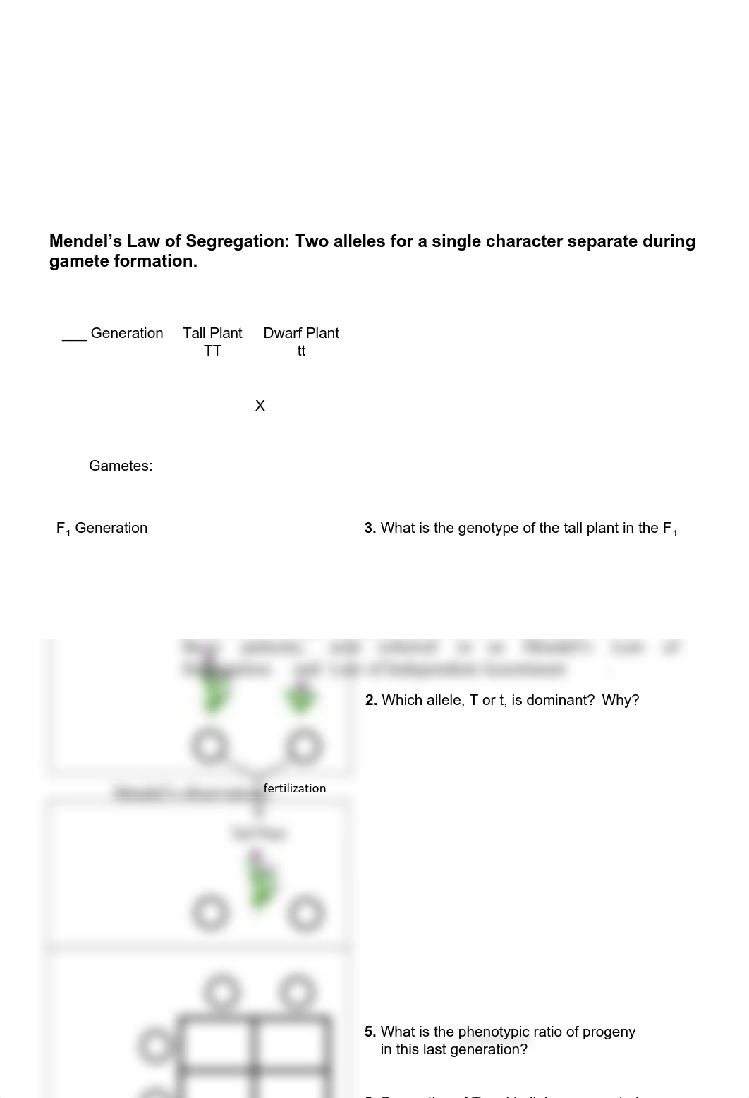 BI221_Lecture_22_worksheet_Mendel (2).pdf_drdqptxu1wn_page1