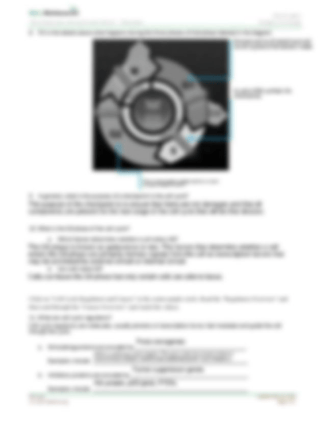 Lab 4 - Cell Cycle Overview Borgstrom.pdf_drdre18pcvw_page2