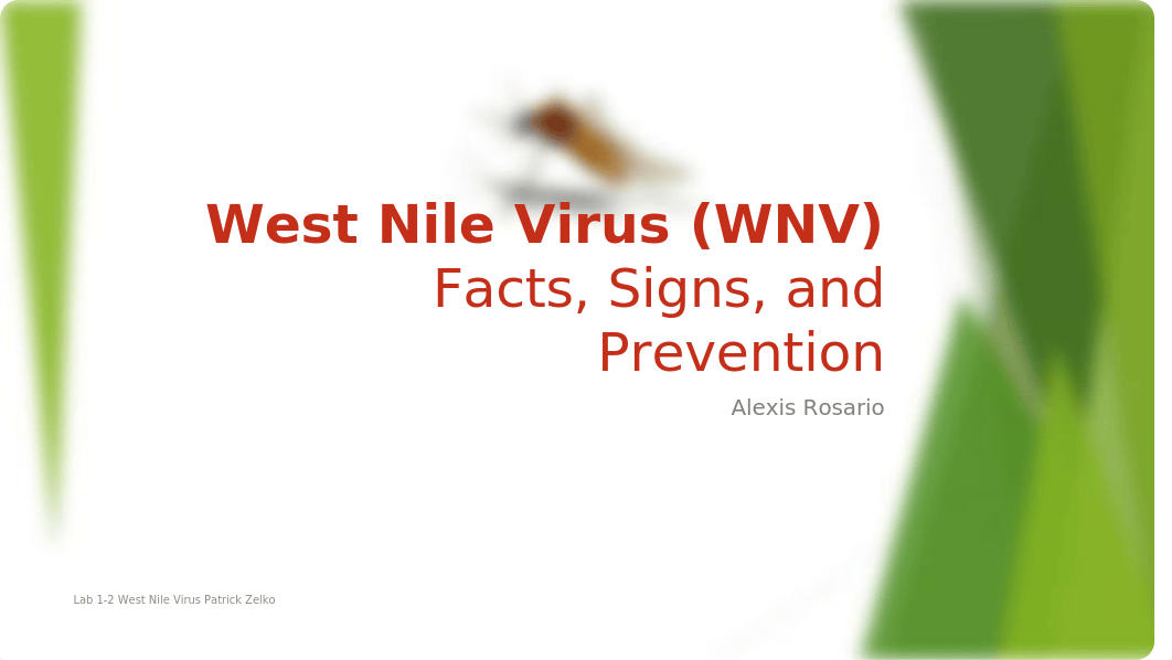 Lab 1-2 West Nile Virus_drdu63yr4f9_page1