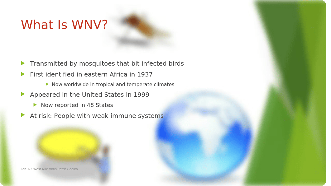 Lab 1-2 West Nile Virus_drdu63yr4f9_page2