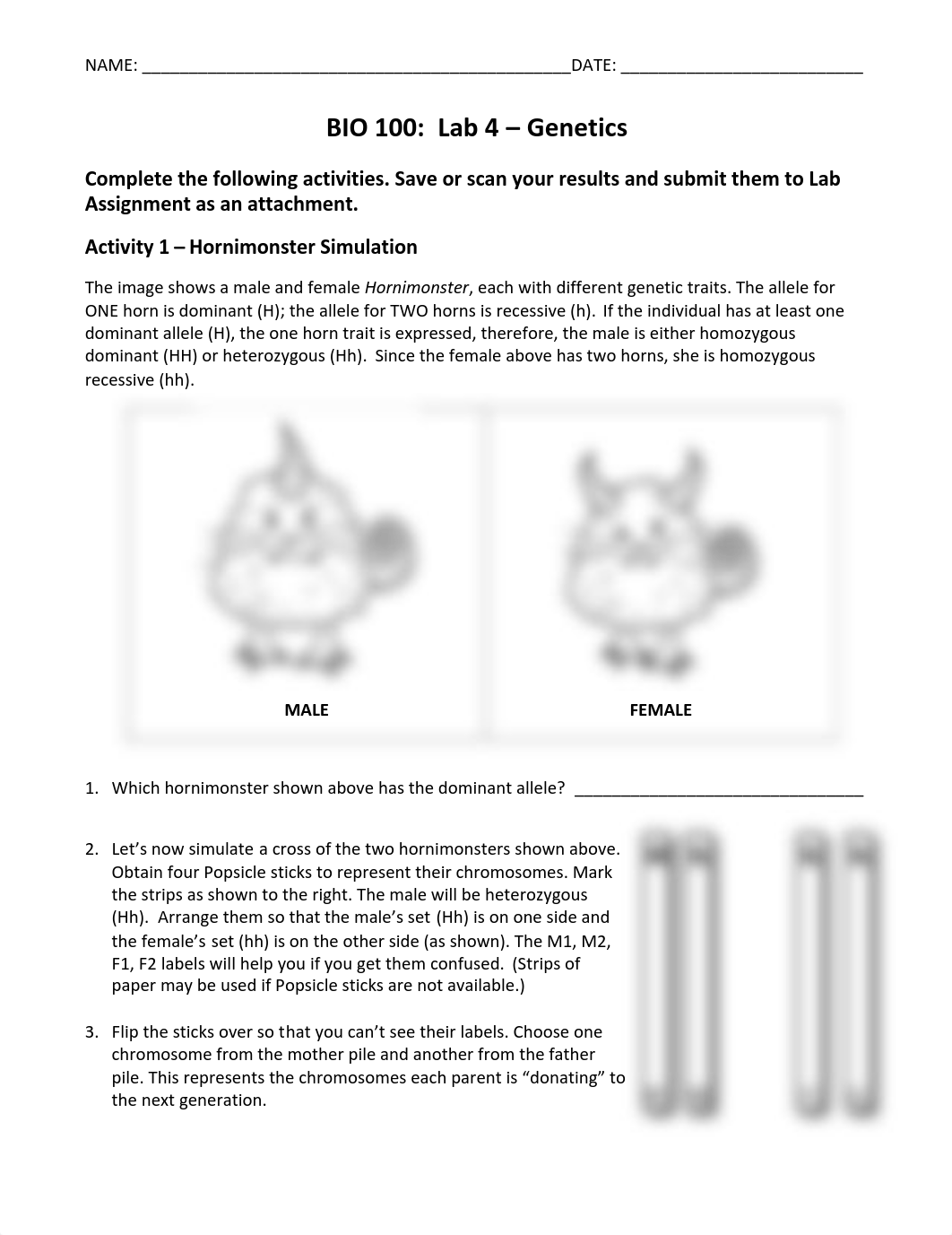 Lab4_Genetics_Su15(1).pdf_dre488ln4dx_page1