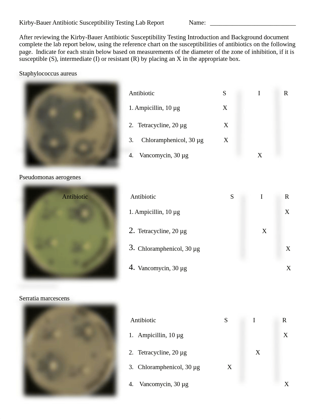 Kirby-Bauer Antibiotic Susceptibility  Lab Report CCC (1) (3).docx_dre8fmsjbmd_page1