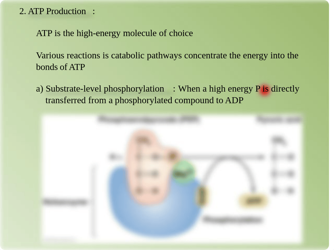 MICROBIAL-METABOLISM_drehivg4cha_page5