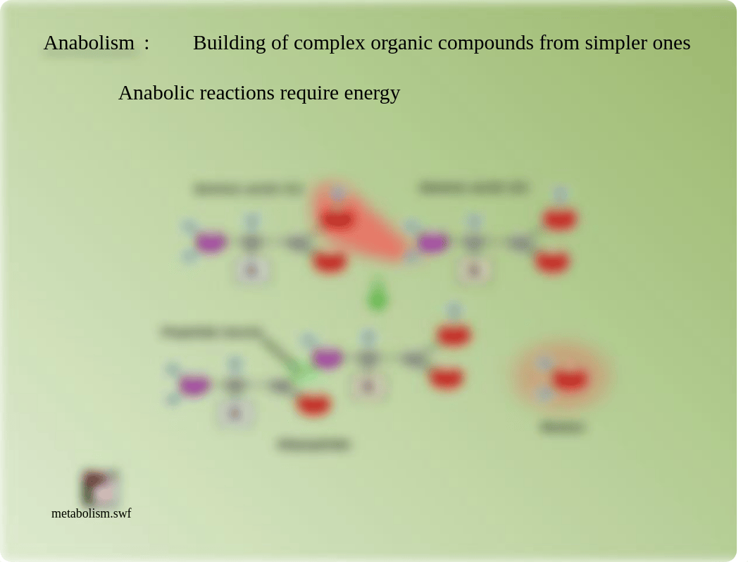 MICROBIAL-METABOLISM_drehivg4cha_page3