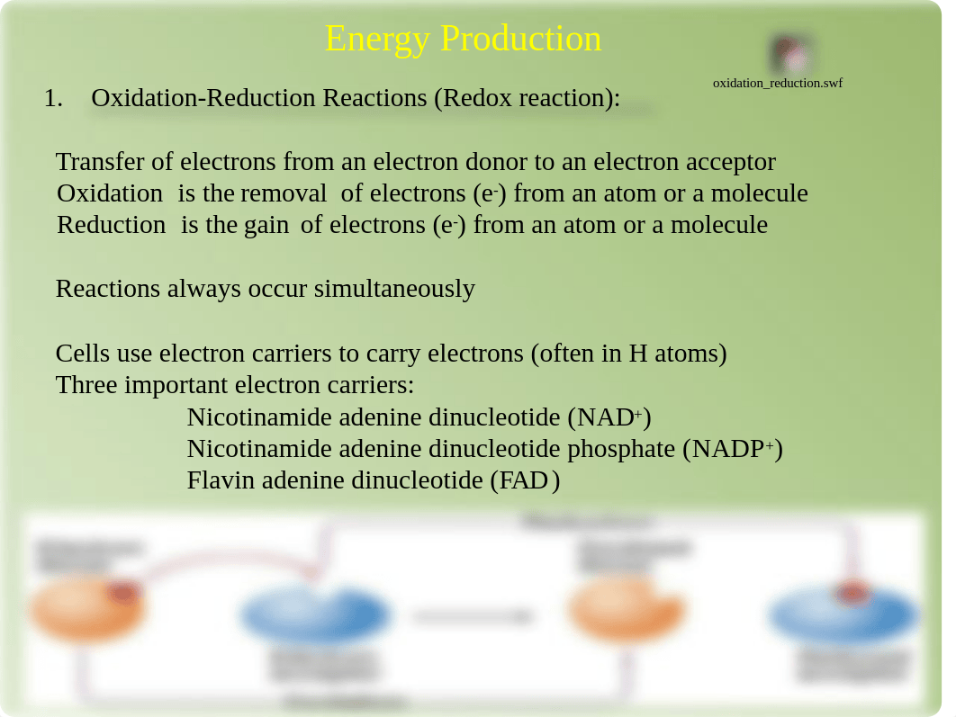 MICROBIAL-METABOLISM_drehivg4cha_page4