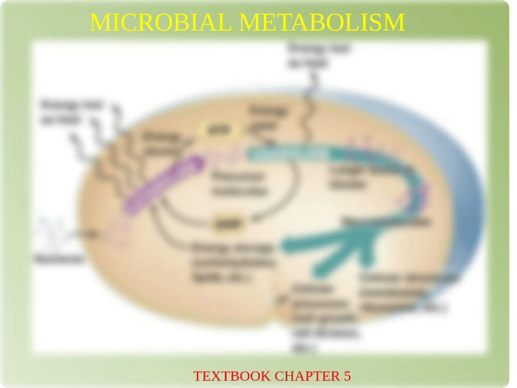 MICROBIAL-METABOLISM_drehivg4cha_page1