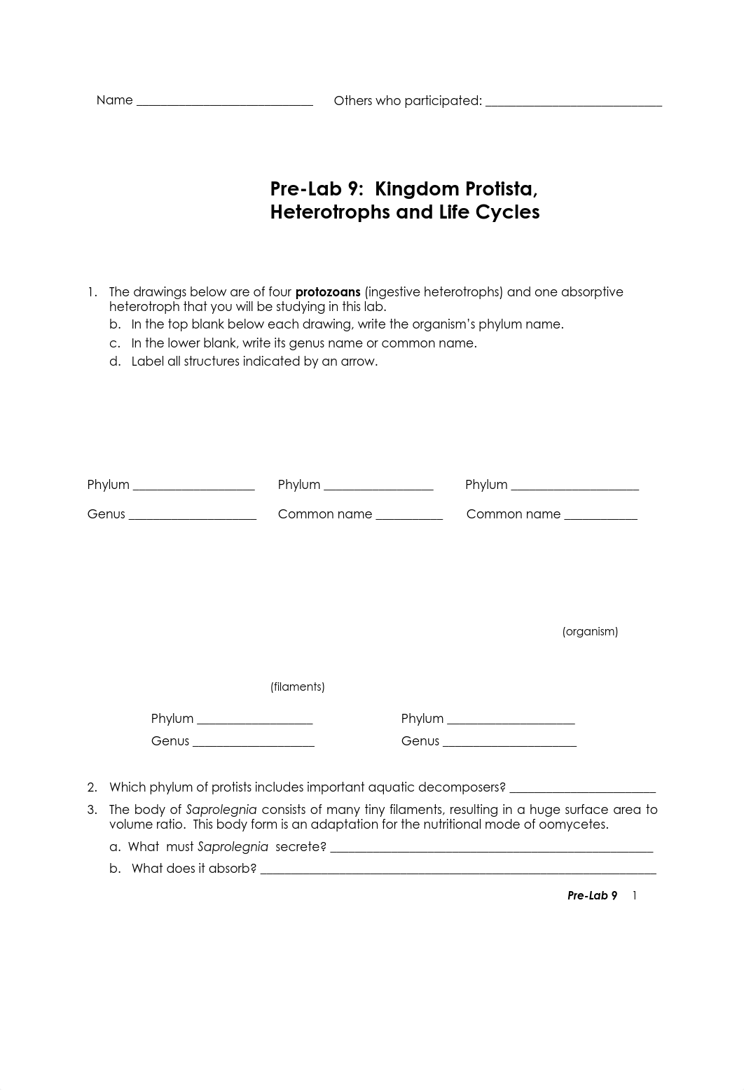 09a Prelab 9_Kingdom Protista, Heterotrophs and Life Cycles.pdf_drekj8p0t1s_page1