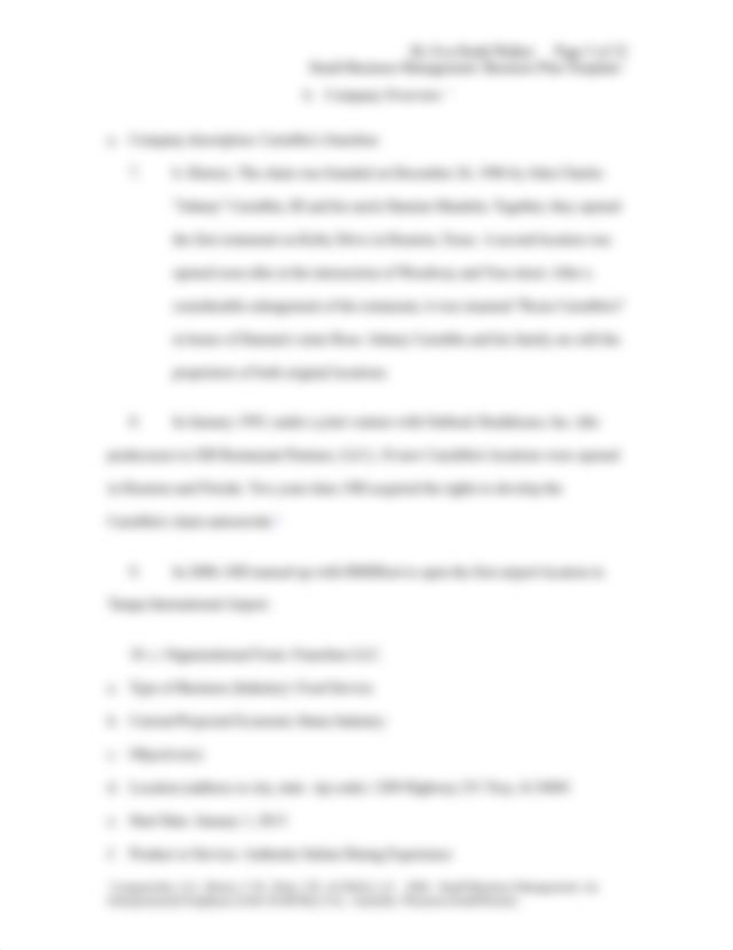 Business Plan_dremv3yt67u_page5