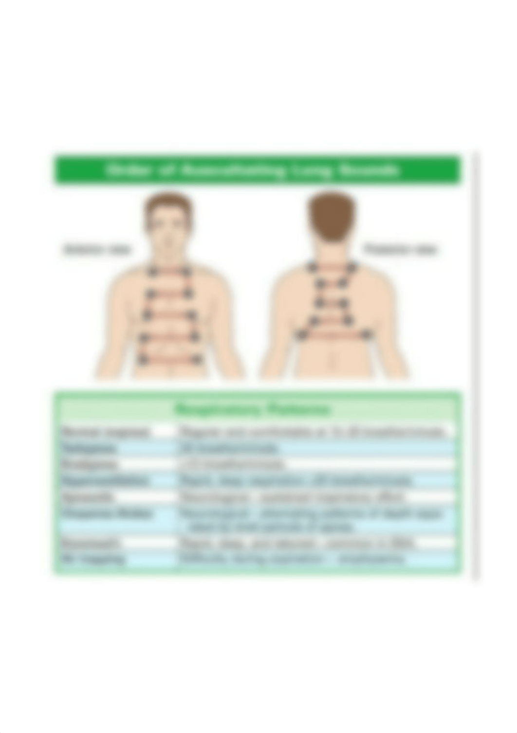 lung sounds auscultation.jpg_drf10599ruh_page1