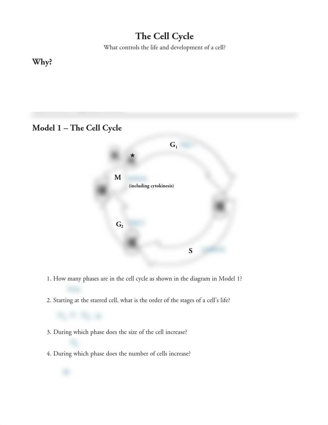 Kami Export - Nikar Samadova - 15 The Cell Cycle-S.pdf_drfhldyd4ep_page1