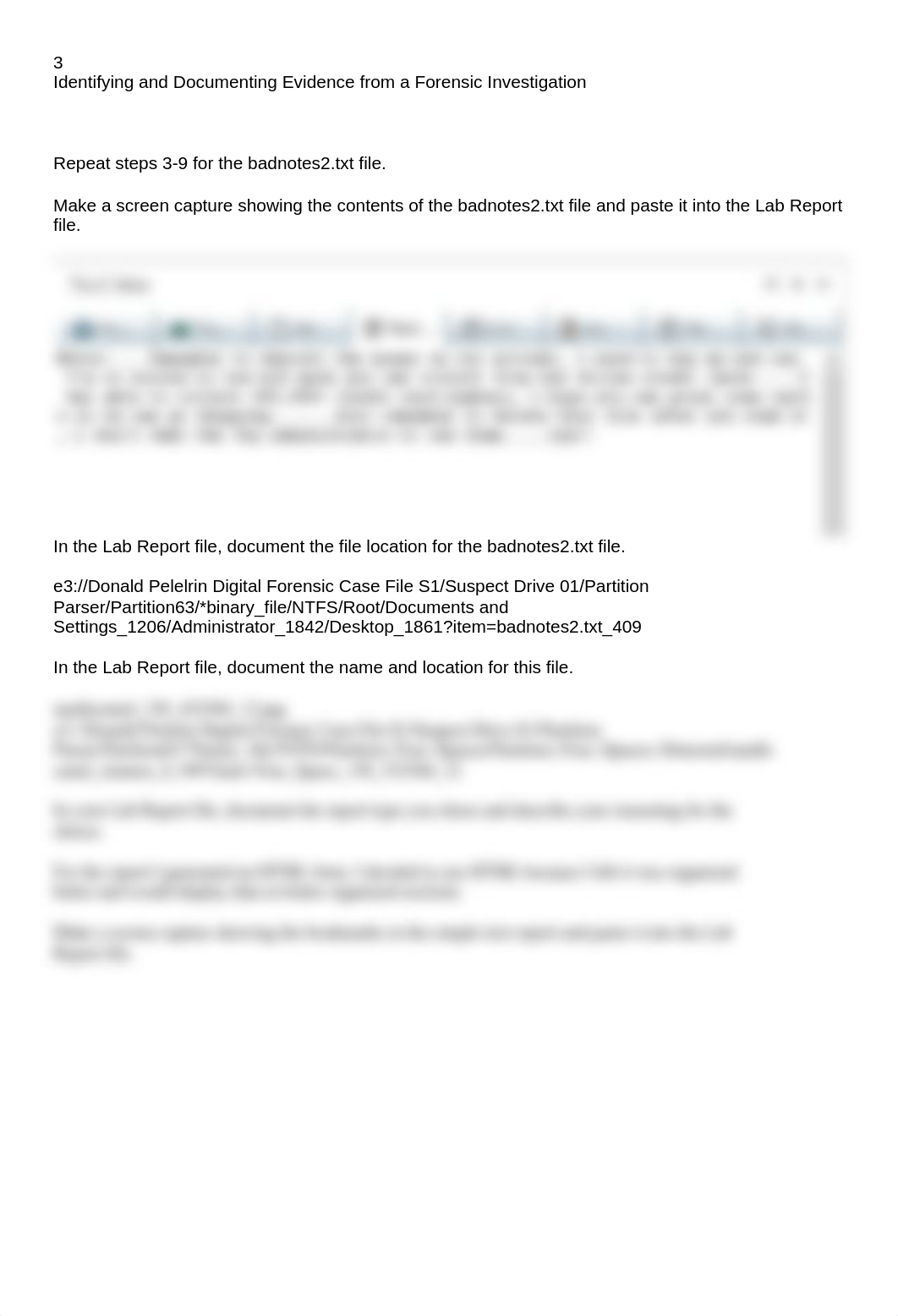 Donald Pellerin - Identifying and Documenting Evidence from a Forensic Investigation.docx_drfkc8lk1ba_page3