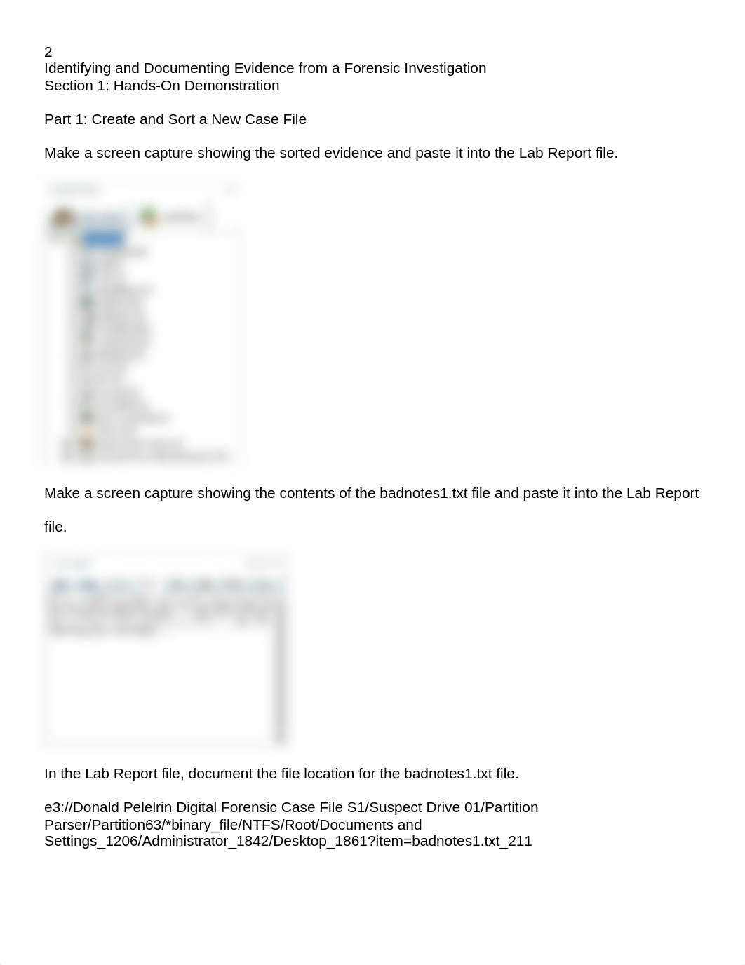 Donald Pellerin - Identifying and Documenting Evidence from a Forensic Investigation.docx_drfkc8lk1ba_page2