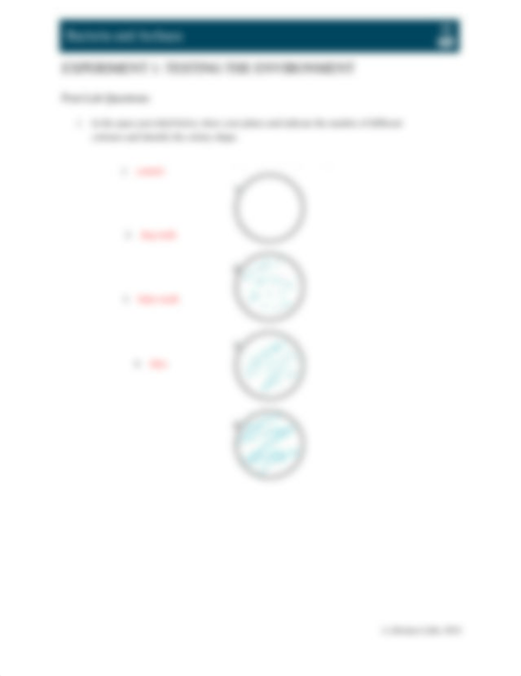 Bacteria and Archaea.docx_drfvxcvt9lb_page2