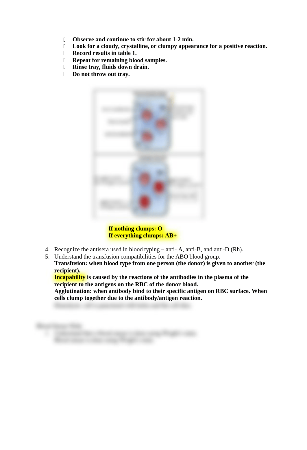 Anatomy 2- Lab Practical One Study Guide.docx_drg8cj0mlzh_page2