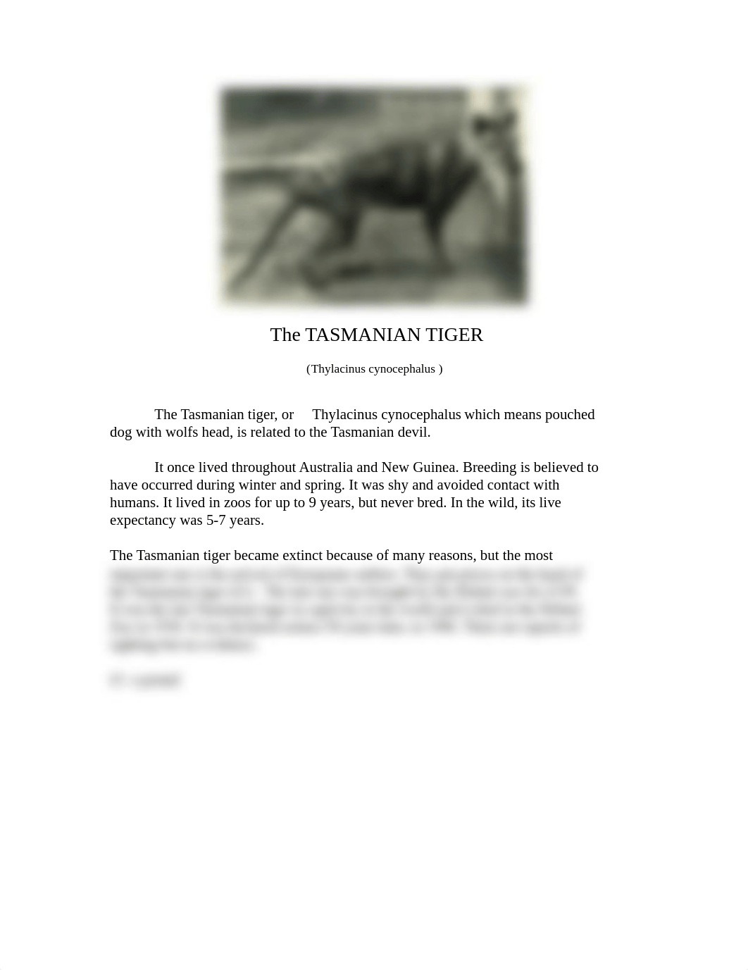 English 9 -The Tasmanian Tiger_drg9ukic3gd_page1