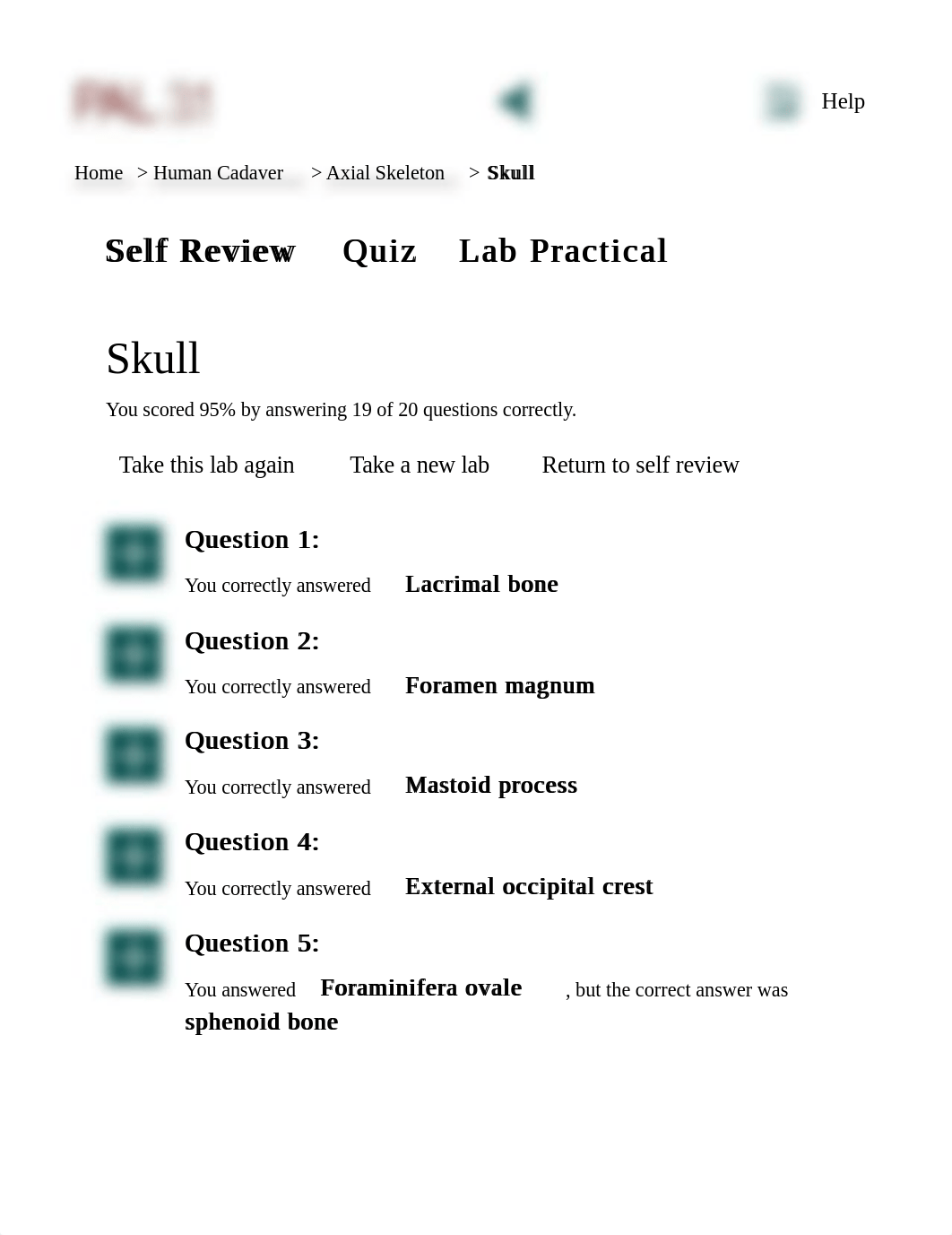 Practice Anatomy Lab 3.1 | Skull.pdf_drgdvoab3hc_page1