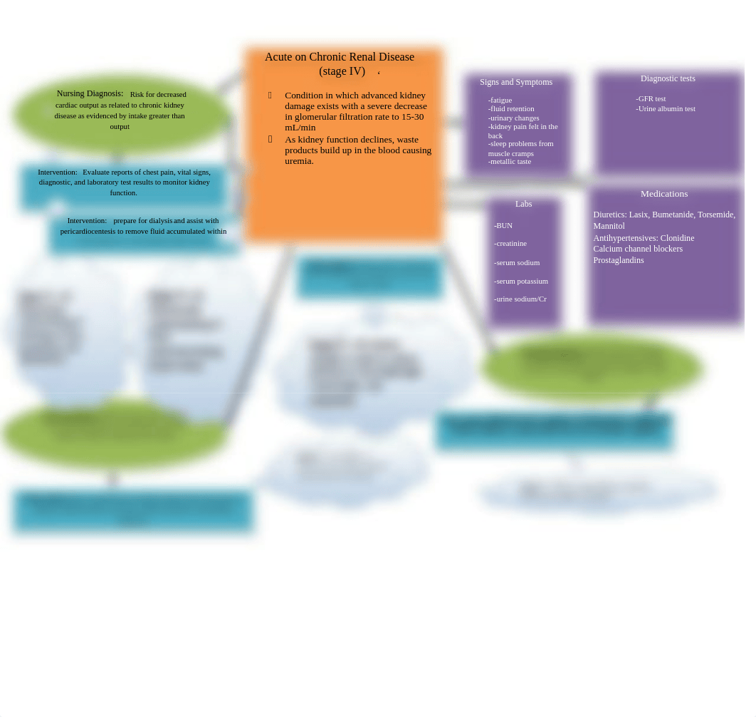 kidney disease concept map.docx_drgi24zm0gv_page1