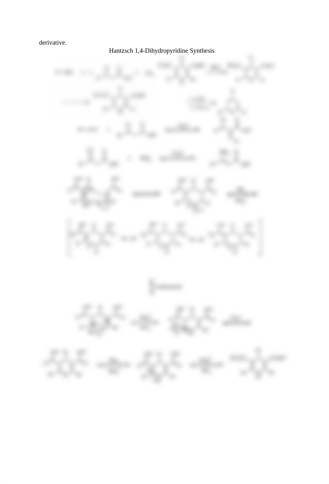 Hantzsch Reaction_drgm9pagway_page3