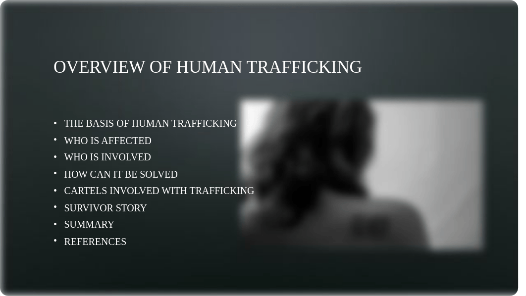 Human Trafficking Presentation.pptx_drgngppjqaw_page2