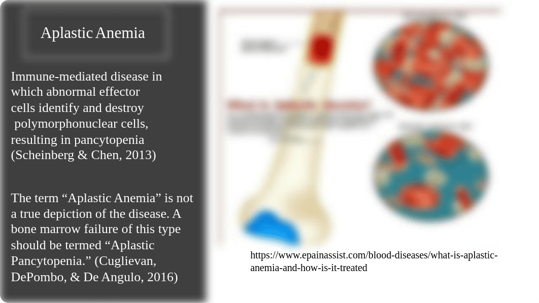 Anemia Powerpoint.pptx_drh0us2i29e_page1