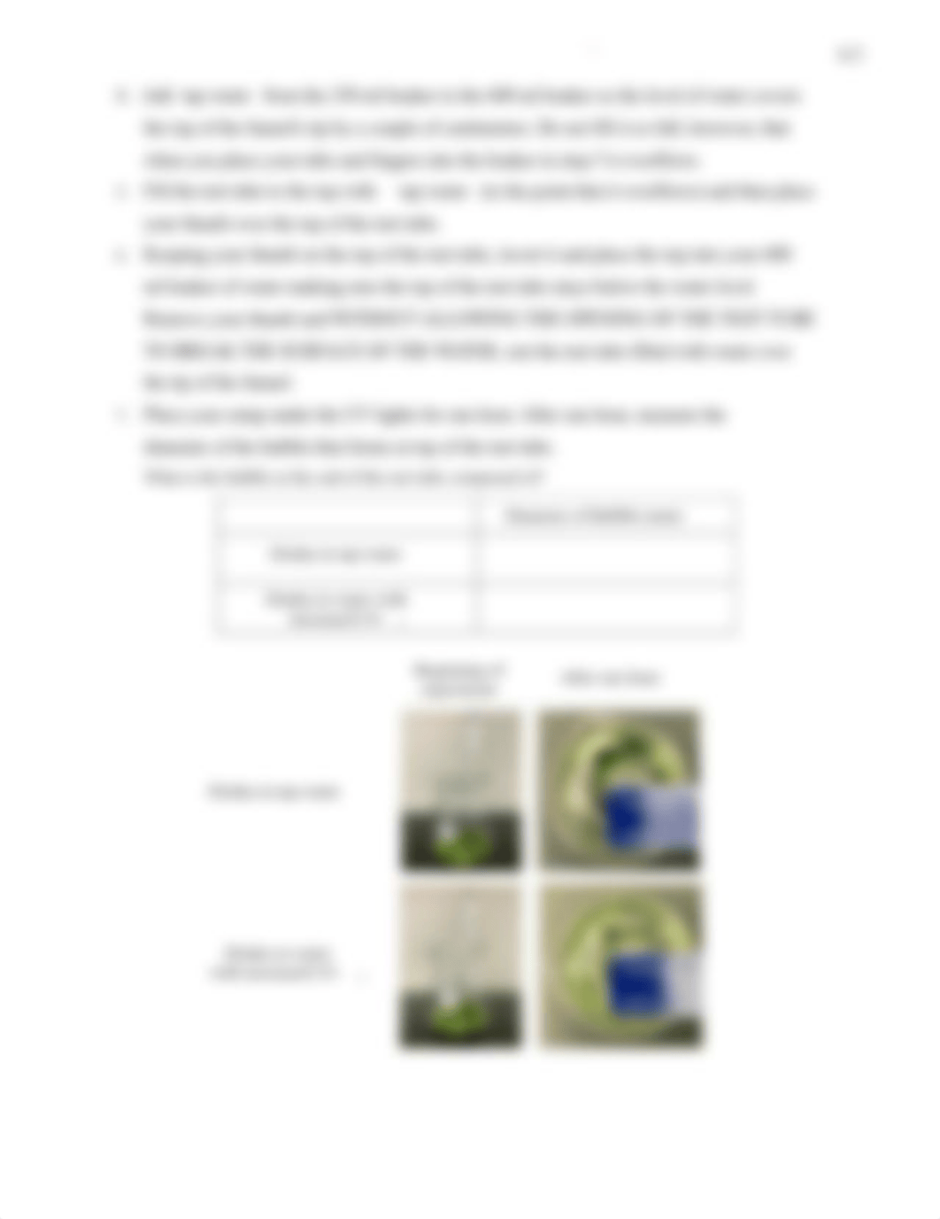 Lab06 Photosynthesis and Plant Morphology F20 (fillable)-.pdf_drh2fjao8wq_page3