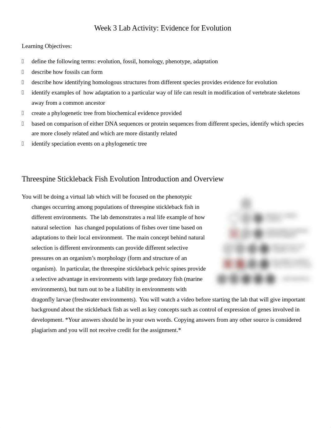 Lab 3 - Evolution.docx_drhat4pn3br_page1