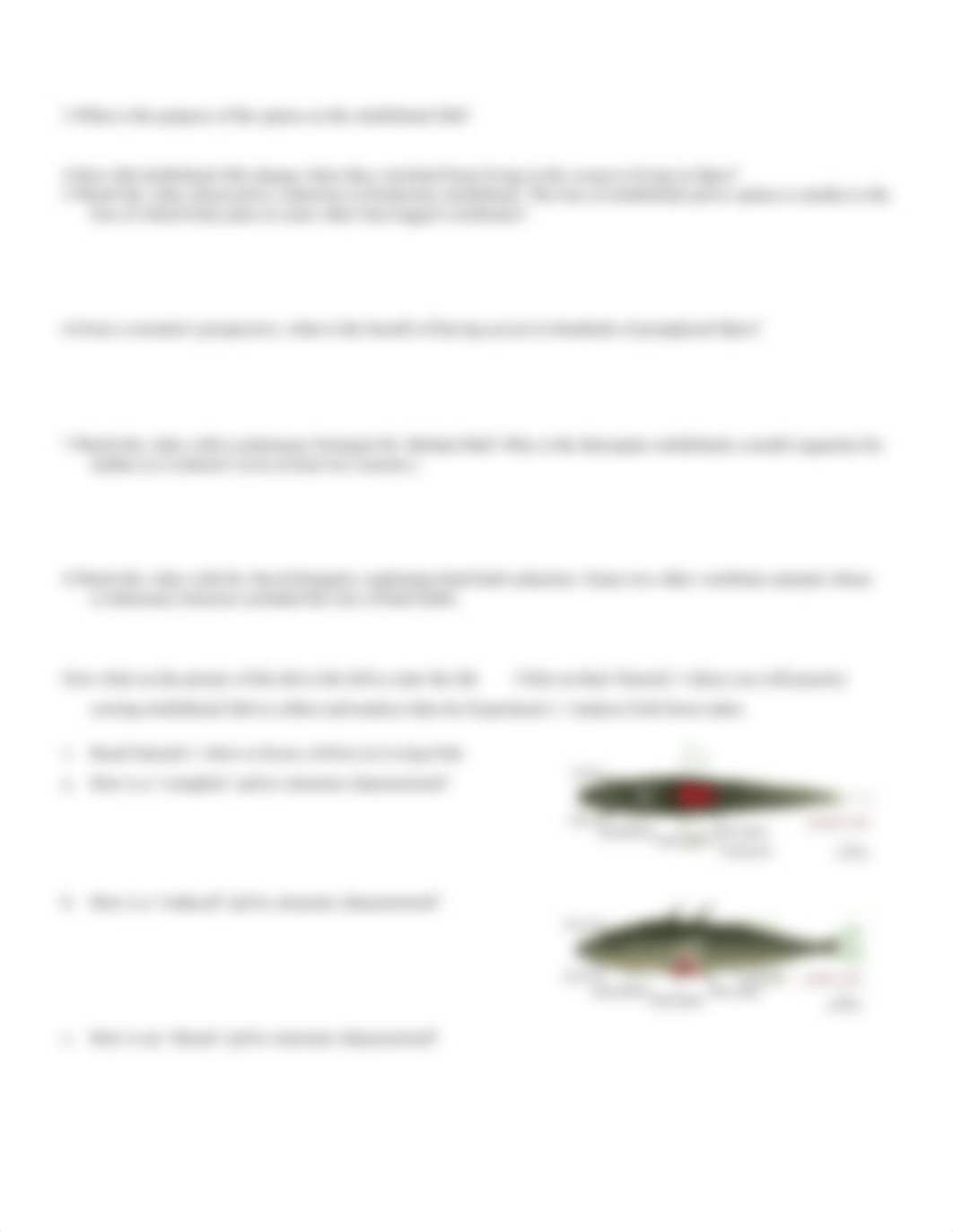 Lab 3 - Evolution.docx_drhat4pn3br_page3