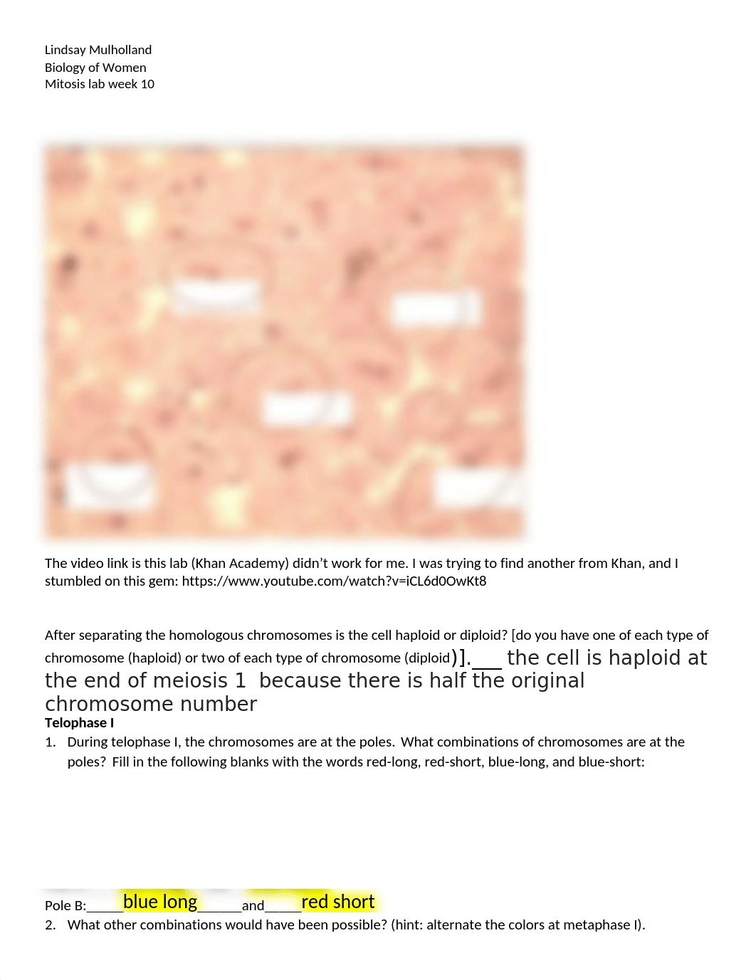 Meosis lab.docx_drhbfcjt25b_page1