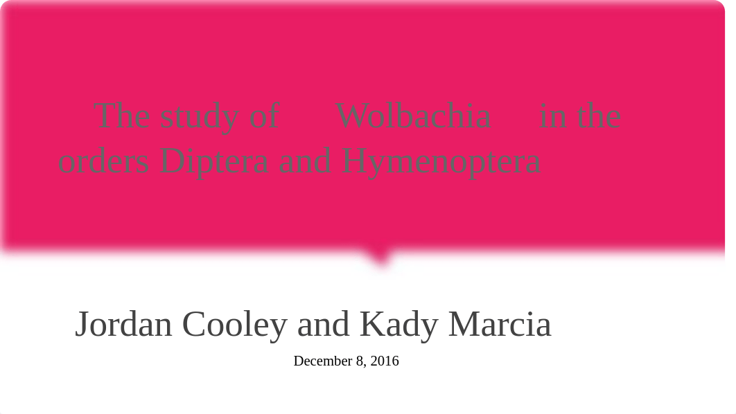 Wolbachia JACKMMSO1-SO2F16  (1)_drhbfj7pbz1_page1