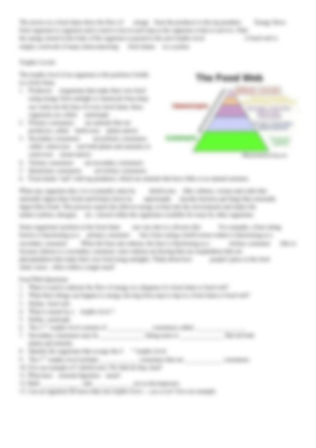 4.12 WS - Food Chains and Webs.pdf_drhn5fszrqu_page2