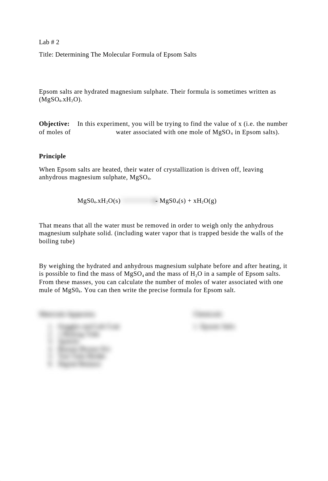 Chem Lab 2.docx_drhqlbjjmgn_page1