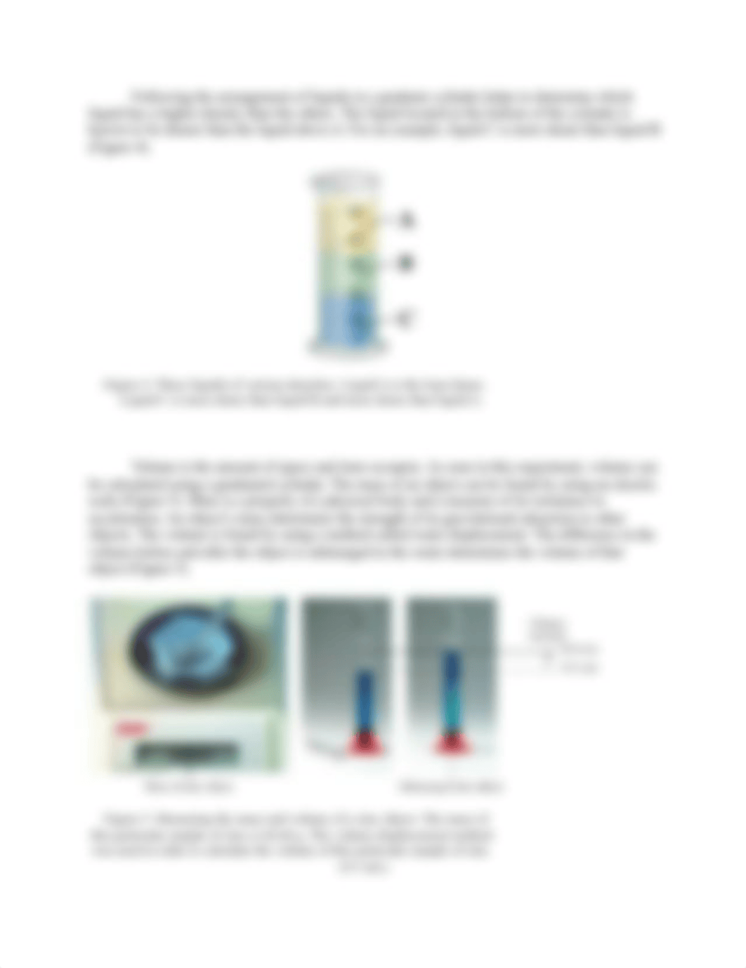 Density Lab Report.docx_drhu8e93scq_page4