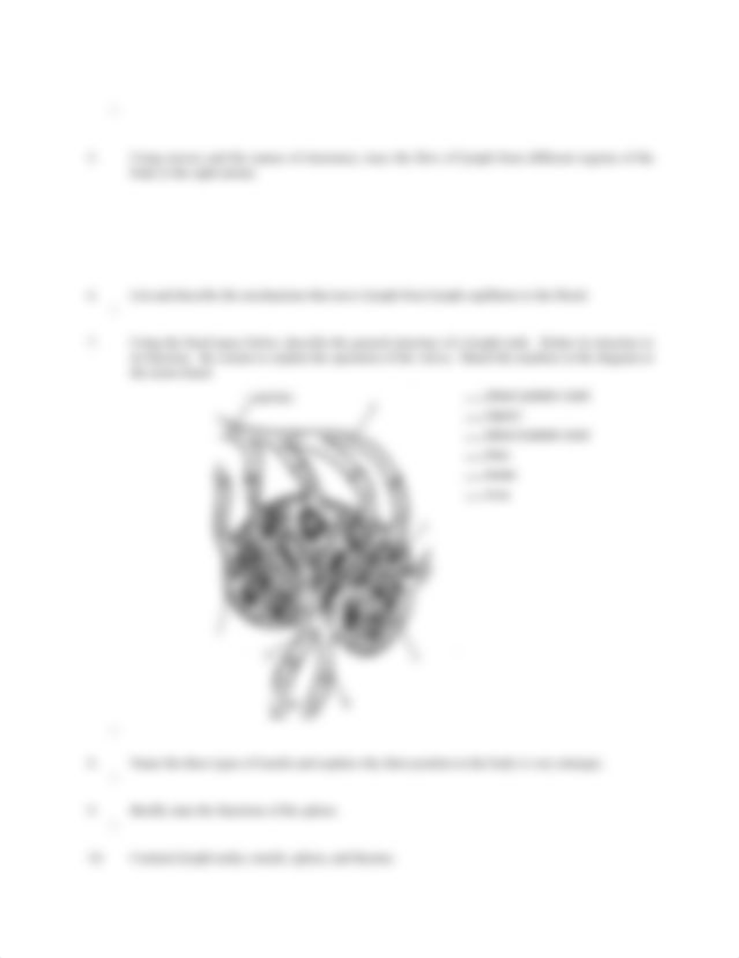 Questions-Lymphatic_System_1.docx_drhwx6pacwl_page2