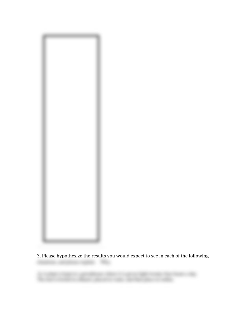 Photosynthesis worksheet A_dri8i12arae_page3