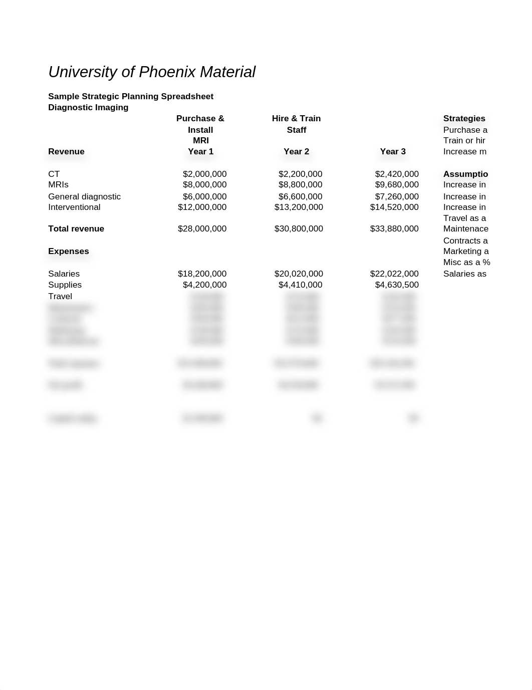 preopening_budget_example_dri8qw14kvt_page1