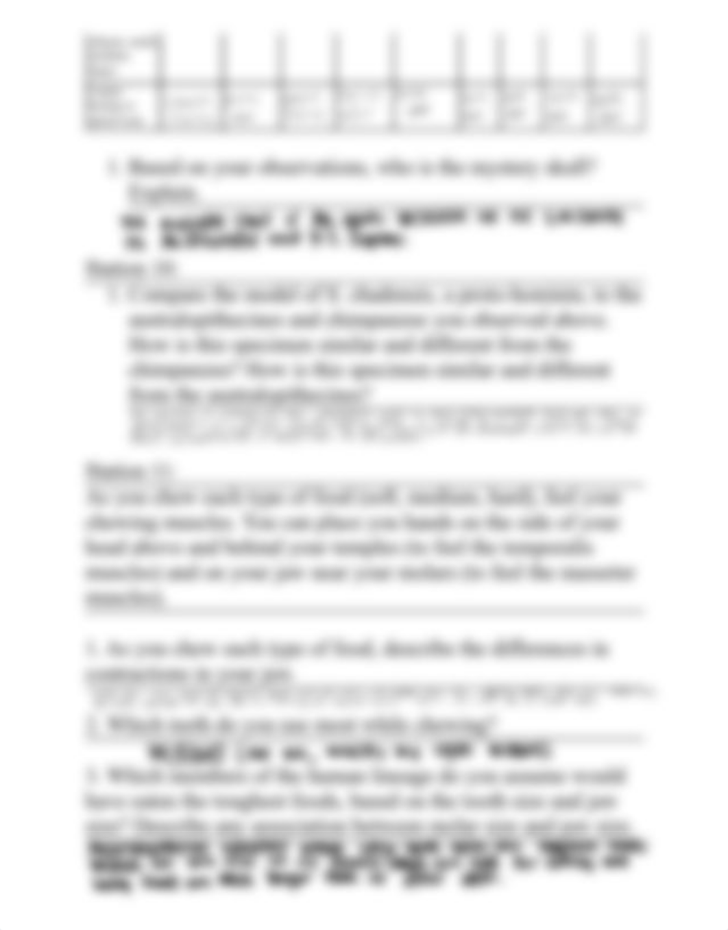 Stevie Hebert - Lab 12 Answers.pdf_drie1atci5r_page2