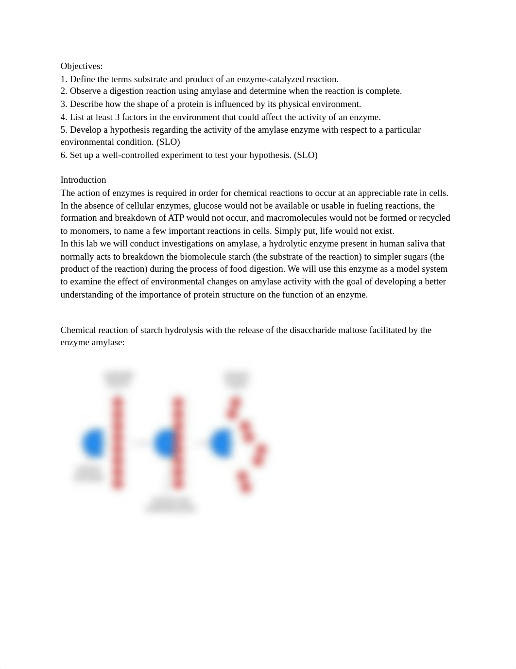 Lab Enzyme Action - Part I & II.pdf_drik0y52d88_page2