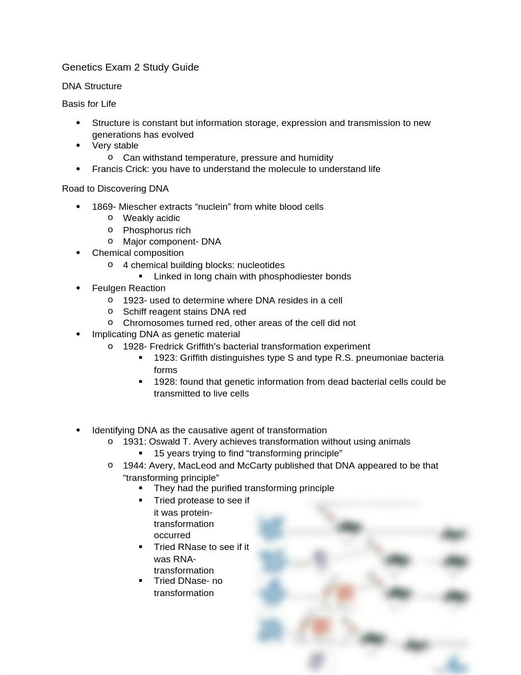 Genetics Exam 2 Study Guide_dril74sagys_page1