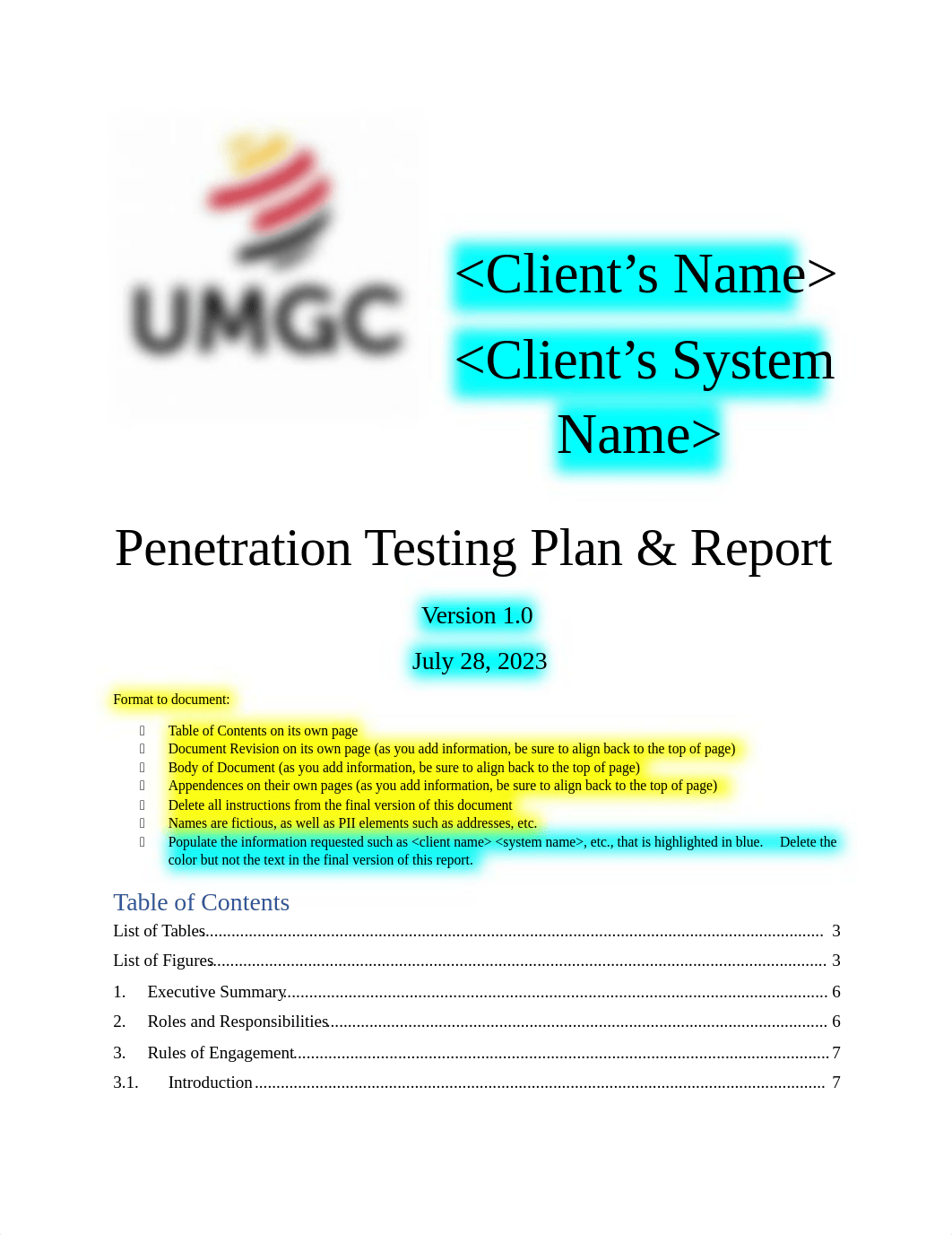 Penetration Testing Report Template (1).docx_drinicb88x6_page1