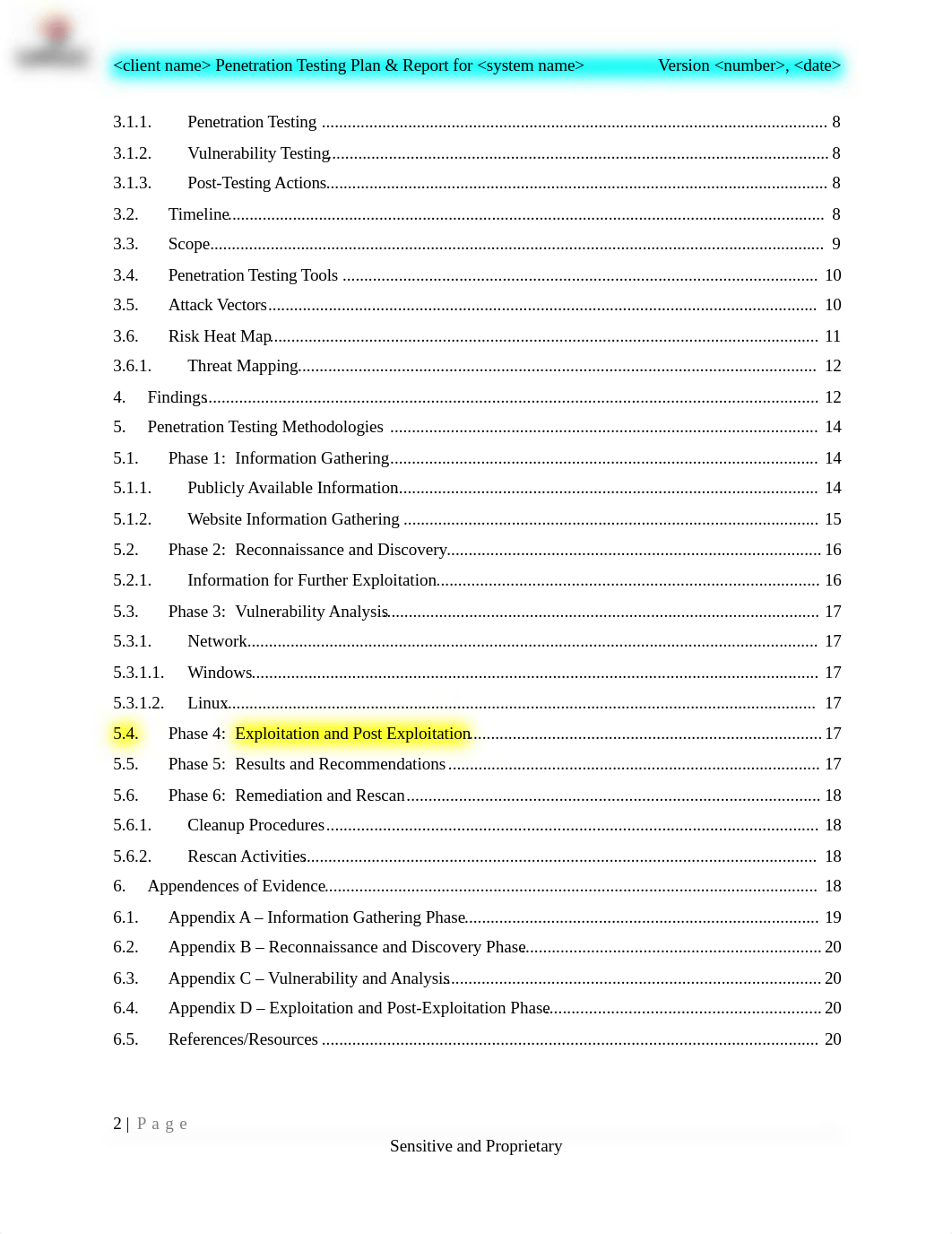 Penetration Testing Report Template (1).docx_drinicb88x6_page2