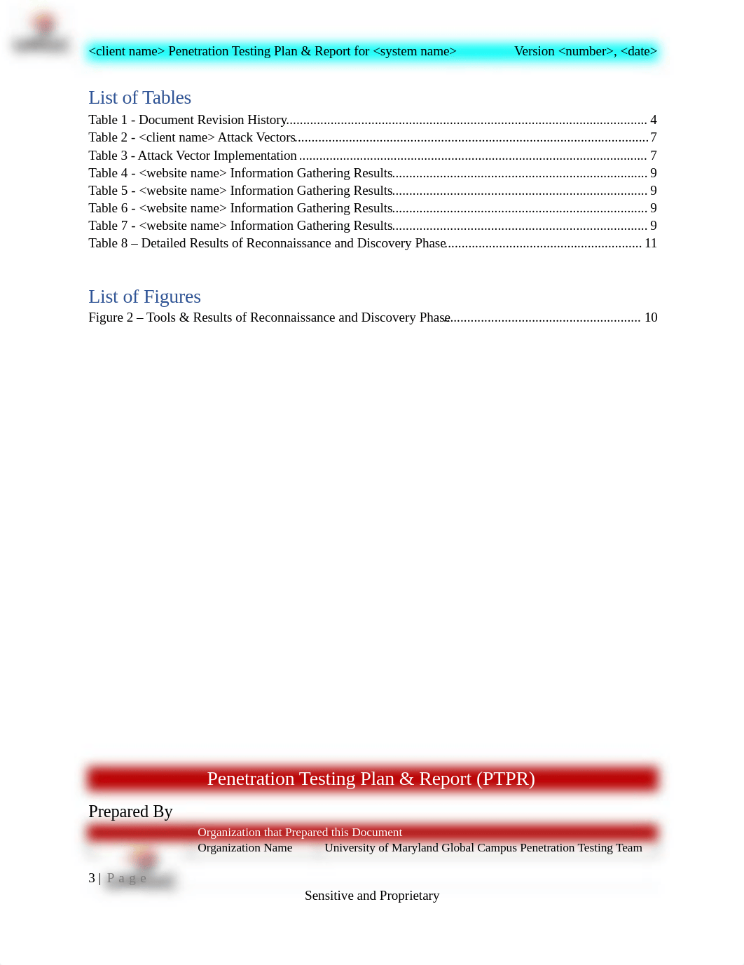 Penetration Testing Report Template (1).docx_drinicb88x6_page3