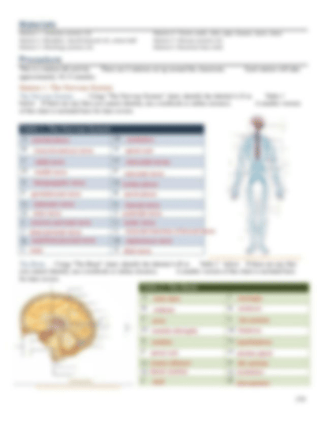 Kami Export - NICOLE MAROTZKE - 11a_nervous_system.pdf_drio7ew7gjd_page3