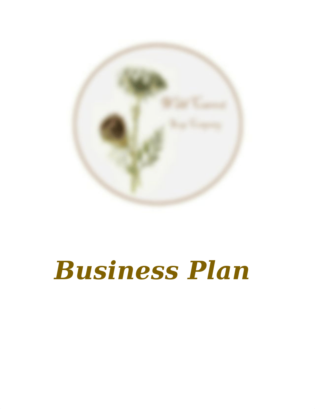 Wild Carrot Soap Company Business Plan.docx_drir2hbn2mv_page1